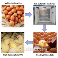 Solar eggs incubator 1056 chicken eggs incubation equipment